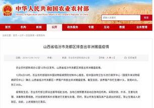 临汾爆料最新新闻网,最新新闻网聚焦城市动态与民生热点